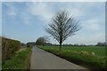 Road between Nunwick and Wath