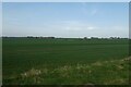 Farmland beside Bedale Lane