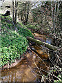 Penn Brook near Gospel End in Staffordshire