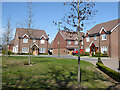 Houses on Landau Close, Pease Pottage