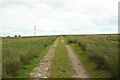 Farm track west of Springhill Farm