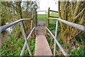 North Curry : Footpath