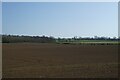 Farmland near cottages