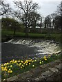 Weir on Mosset Burn