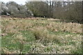 Footpath across marsh