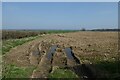 Farmland on Breckamore Hill