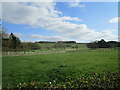 Grassland with fences near Eaton Grange