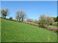 Steep uphill field path to Todsworthy