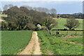 Path towards Whiteparish, north of Richmond Farm