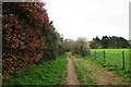 Track & public footpath, near Bewdley, Worcs