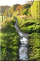 Bridlepath after the rain