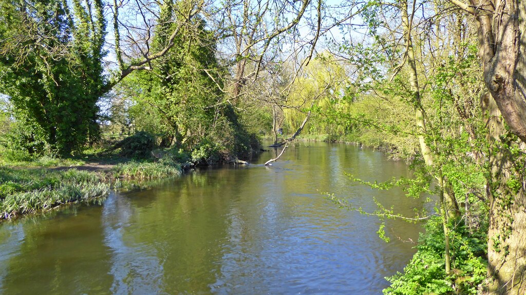 River Colne © Mark Percy :: Geograph Britain and Ireland