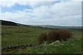 Fields near Bland Hill