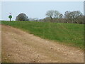 Track to Lynombe Wood