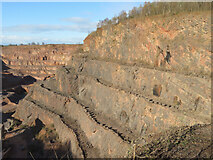 ST1282 : Terraces on northern face of Taffs Well Quarry by Gareth James