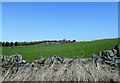 View across the fields from Elm Park Road