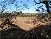 ST1181 : Ton Mawr Quarry, seen through the trees by Gareth James