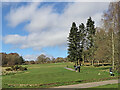 The 5th tee on Penn Common golf course, Staffordshire