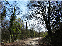 ST1182 : Access road to Ton Mawr Quarry by Gareth James