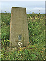 Hill of Findon Trig Point Flush Bracket S6202