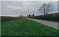 Harby Lane towards Colston Bassett at sunset