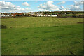 Farmland, West Bay