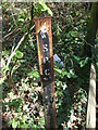 Rusty marker on Sandford Batch