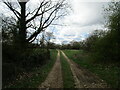 Farm track off Cold Overton Road