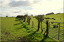 H5467 : Green fields, Cooley by Kenneth  Allen