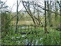 Disused footbridge, Oare