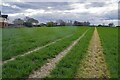 Footpath to Browning