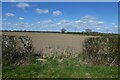 Field beside Atterwith Lane