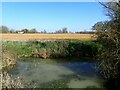 Looking towards Moat Cottage