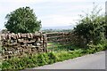 View through field gateway on NE side of B6412