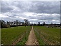 Footpath Field