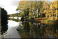 View from the bridge across the Fishpond