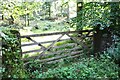 Entrance gateway to Slatequarry Wood from rural road near High Coatsgill