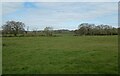 Field opposite the Manor House