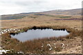 SN8018 : Pwllyn o ddwr ar rostir / Moorland pool by Alan Richards