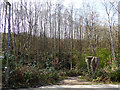 Top of steps, path towards bridleway 1546, Broadfield, Crawley