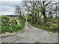 S6261 : Country Road by kevin higgins
