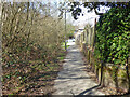 Path behind houses on Longhurst Road, Broadfield, Crawley