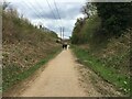 Footpath along former railway line