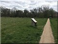 Path across Ash Green Meadows