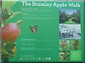 The Bramley Apple Walk information board at Loughgall Country Park