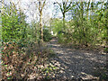 Path, Broadfield, Crawley