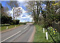 SE3853 : Knaresborough Road (B6164), Little Ribston by habiloid