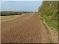 SK6540 : Field footpath near Radcliffe-on-Trent by Alan Murray-Rust