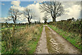 Rough lane, Drumbinnion