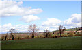 Field seen from Weeton Lane, Huby